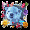 Picture_5.transparant.gif (58918 bytes)